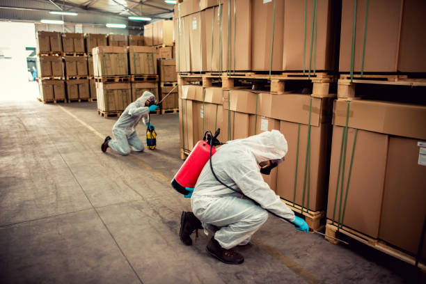 Best Mosquito Control Services  in South Alamo, TX